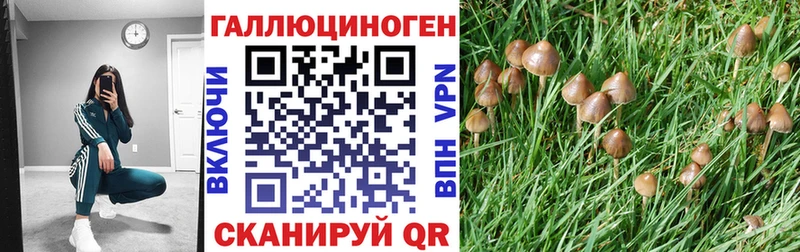 OMG ТОР  Карабулак  Галлюциногенные грибы мицелий 
