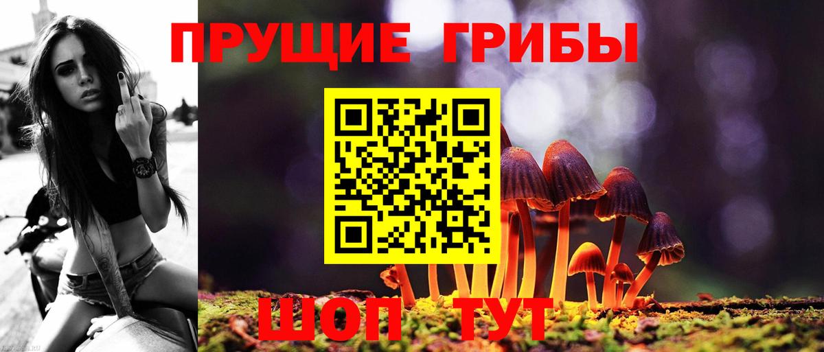 Карабулак  Галлюциногенные грибы GOLDEN TEACHER  Вход с VPN 