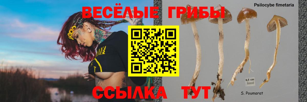 Псилоцибиновые грибы мицелий Карабулак